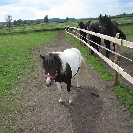 Dom Nad Morzem Witome Mosty (Puck)