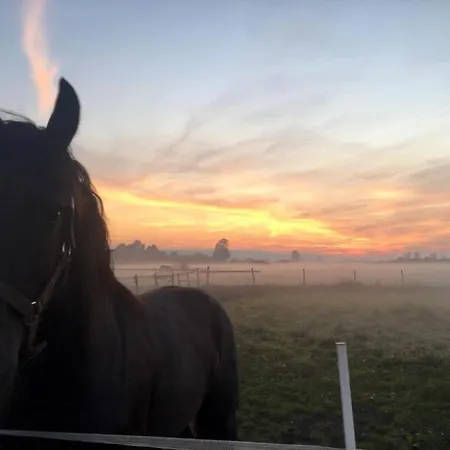 Dom Nad Morzem Witome