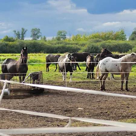 Dom Nad Morzem Witome Dom wakacyjny Mosty (Puck)