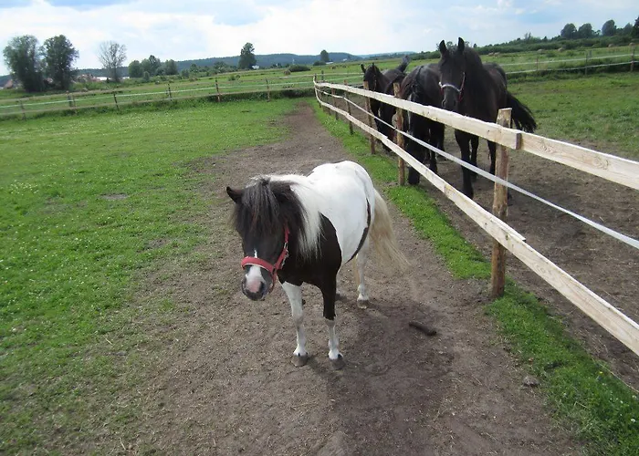 Dom Nad Morzem Witome Mosty (Puck)