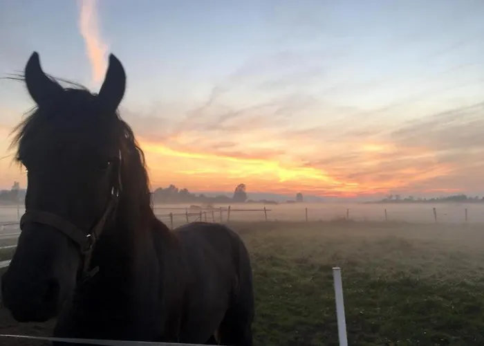 Dom Nad Morzem Witome