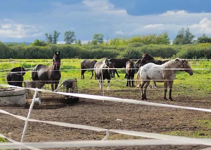 Dom Nad Morzem Witome بيت للعطل Mosty (Puck)